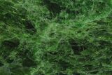 Vibrant, Green Polished Chrome Diopside Slab - Russia #207865-1